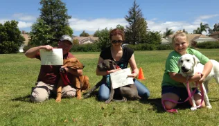SixPaws Dog Training — dog training in Ventura, CA (3)