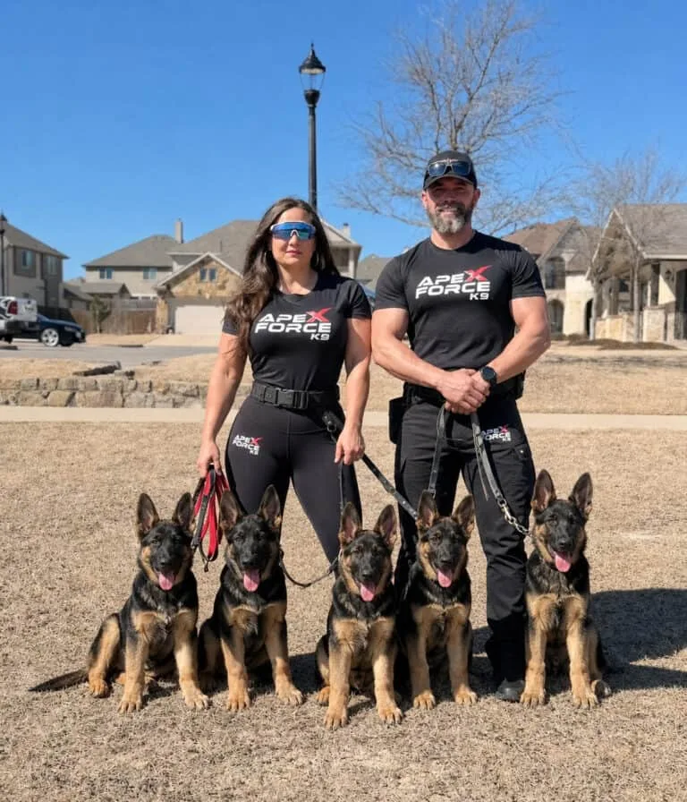 Elite Family and Personal Protection Dogs