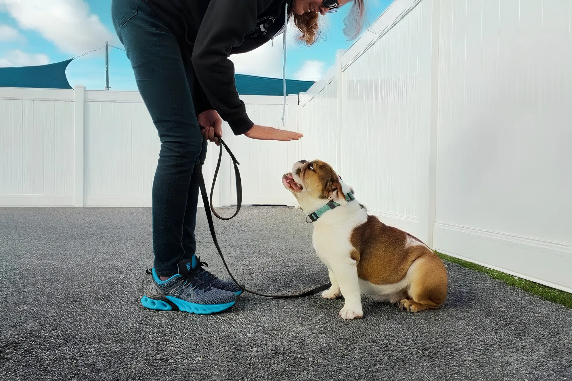 Trainer working with a bulldog on leash during a dog training session in Huntington Beach.