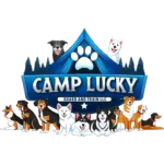 Camp Lucky Board and Train, dog trainer in Kansas City, San Antonio and Triad Area.