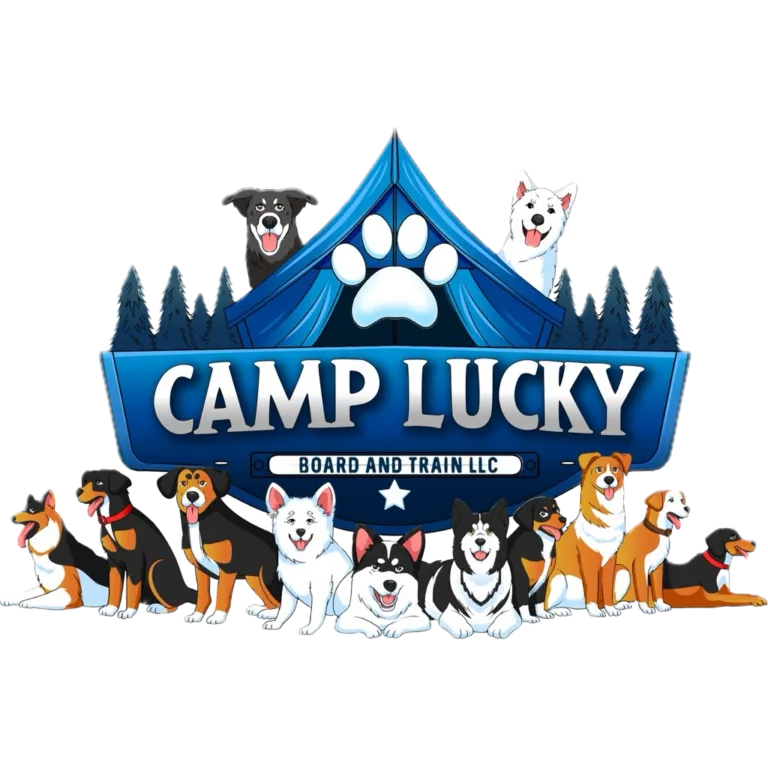 Camp Lucky Board and Train, dog trainer in Kansas City, San Antonio and Triad Area.