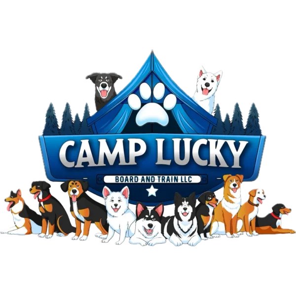 Camp Lucky Board and Train, dog trainer in Kansas City, San Antonio and Triad Area.