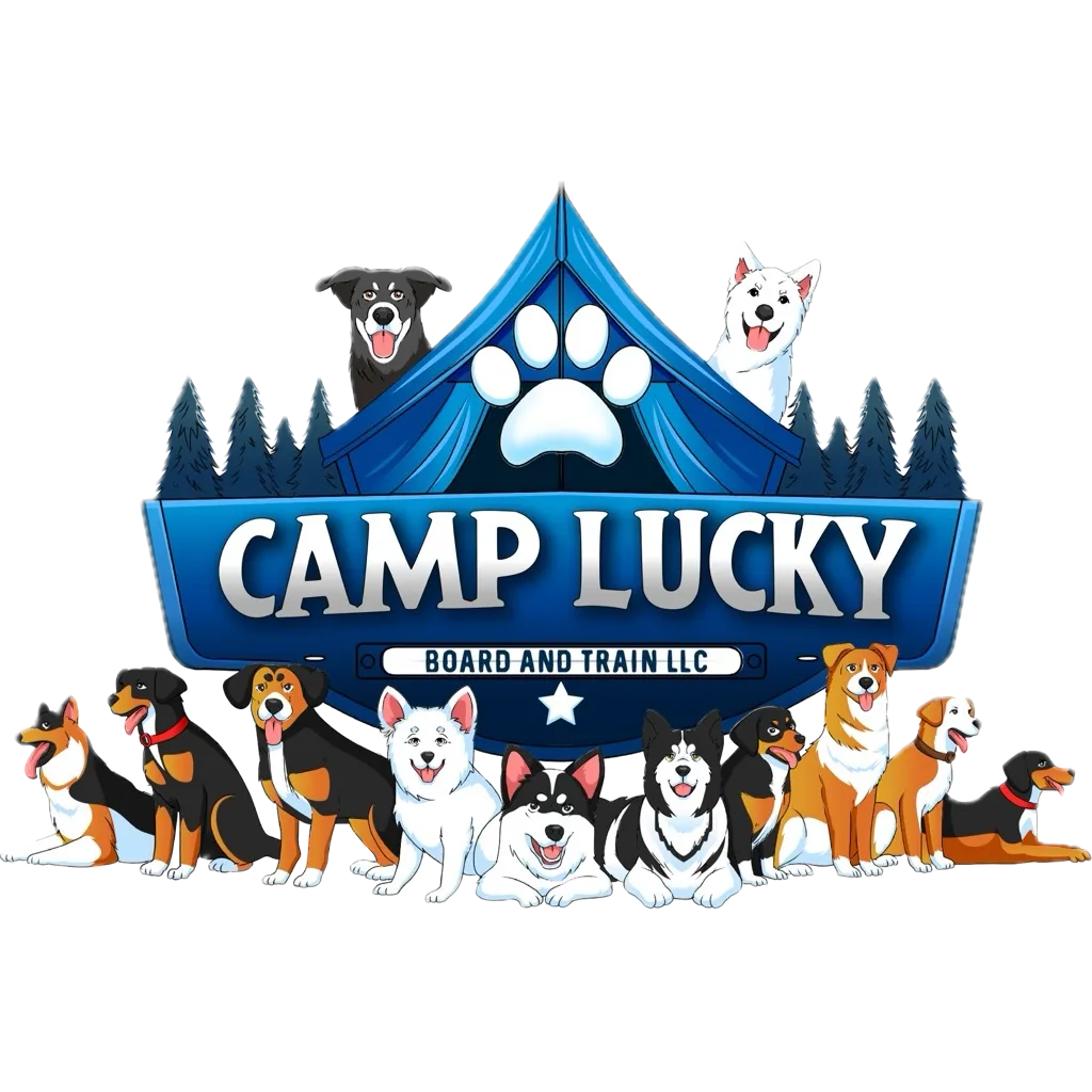 Camp Lucky Board and Train, dog trainer in Kansas City, San Antonio and Triad Area.