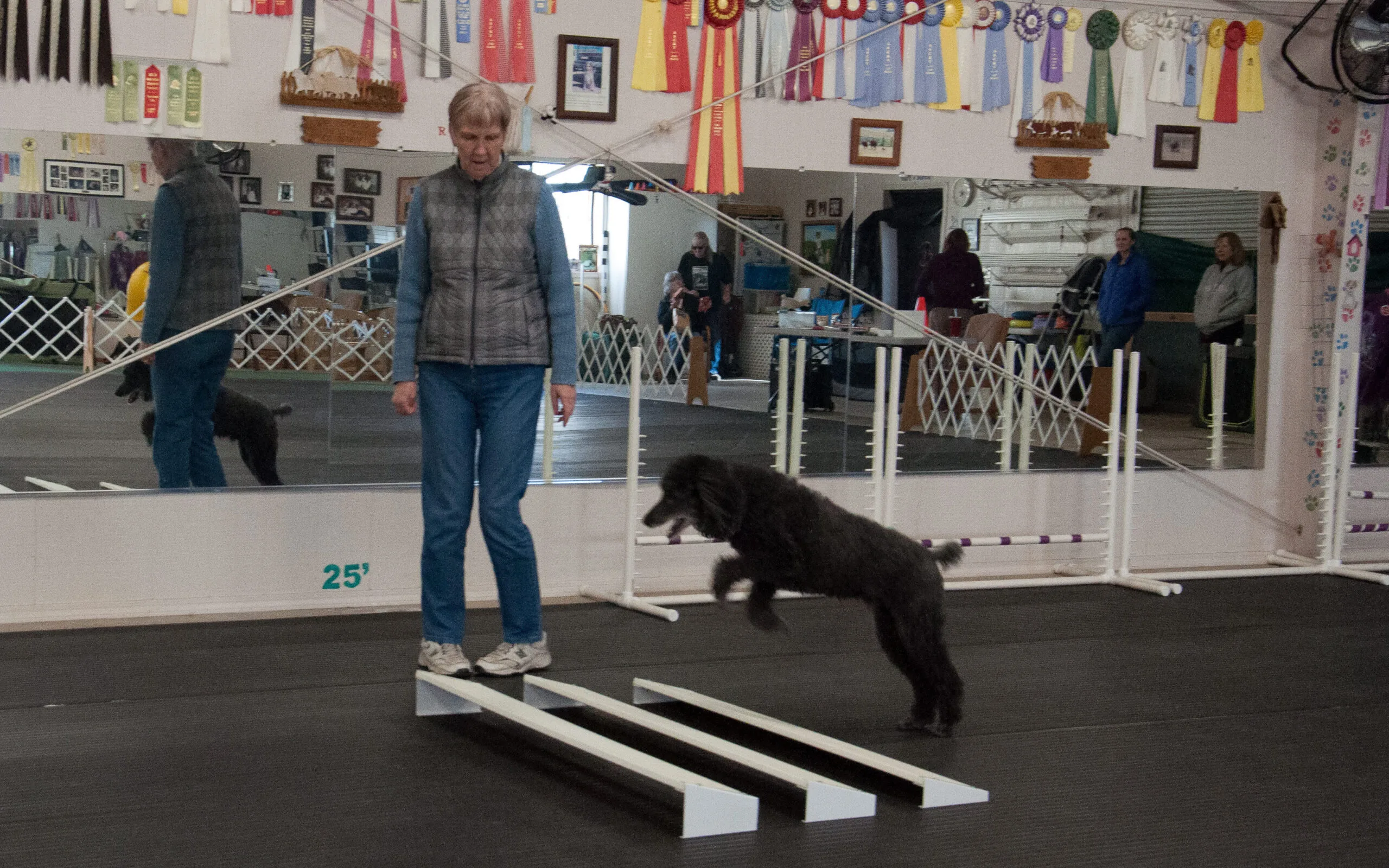 Private Lessons				
				
				
				
									Covers basic good manners, including leash walking, sit and down stay, coming when called, and anything particular to your needs.