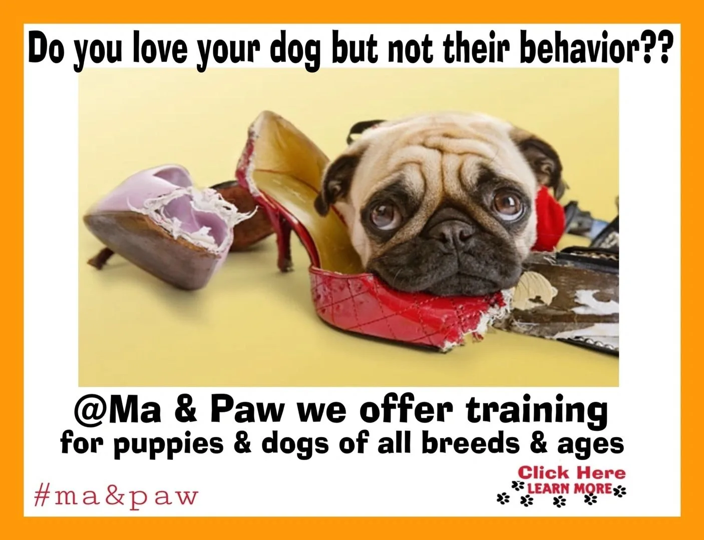 HomeAbout UsDog TrainingDownloadsContact UsMoreHomeAbout UsDog TrainingDownloadsContact UsHomeAbout UsDog TrainingDownloadsContact UsHelping Dogs With People Problems Since 1991 (3)