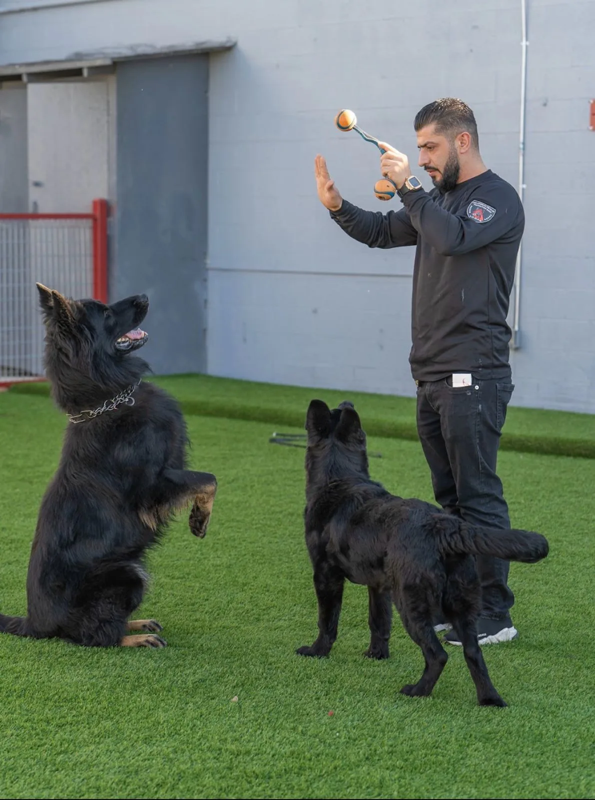 Delta K9 Academy — dog training in North Hollywood, CA
